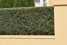 Law Courtshard-landscaping-surfaces-8.jpg; ?>